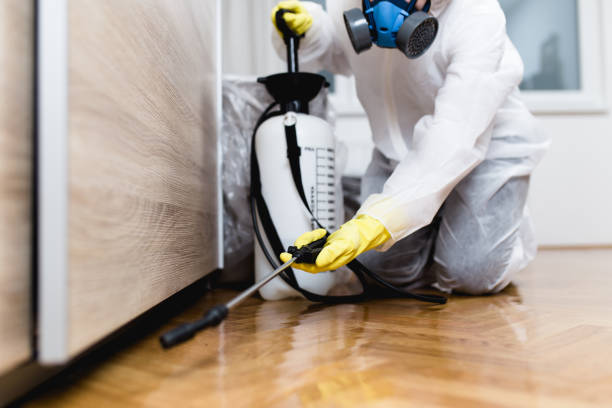 Best Pest Inspection Near Me  in Glespie, IL