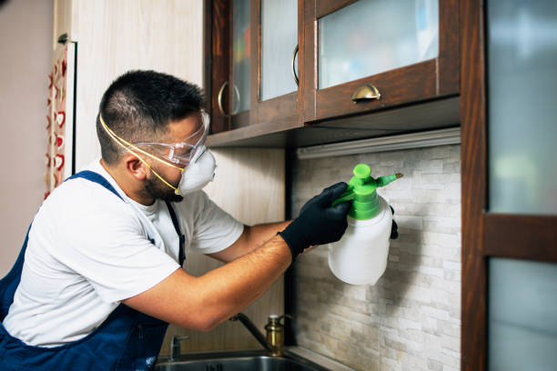 Best Cockroach Control Services  in Glespie, IL