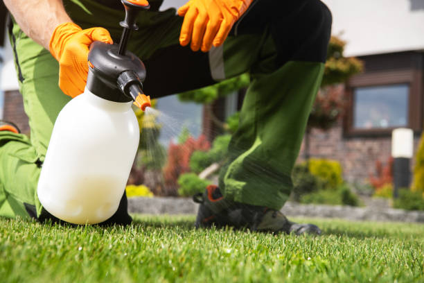 Wildlife Control Services in Gillespie, IL