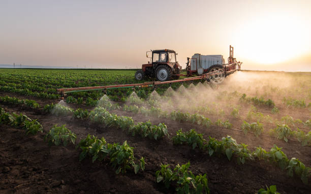 Best Best Pest Control Companies  in Glespie, IL