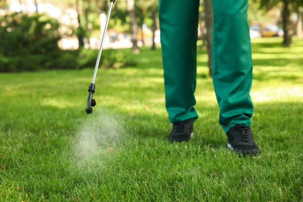 Best Affordable Pest Control Services  in Glespie, IL