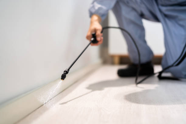 Best Best Pest Control Companies  in Glespie, IL