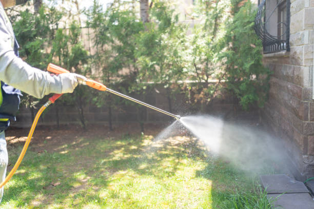 Best Wildlife Control Services  in Glespie, IL