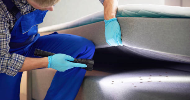 Best Pest Prevention Services  in Glespie, IL